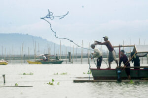 Philippines to Distribute P150 Million in Fuel Subsidies to Farmers and Fisherfolk