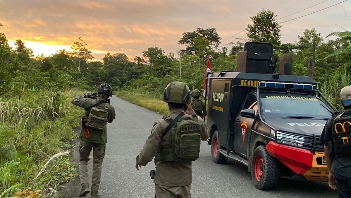 3 Civilians Allegedly Killed by OPM in Papua