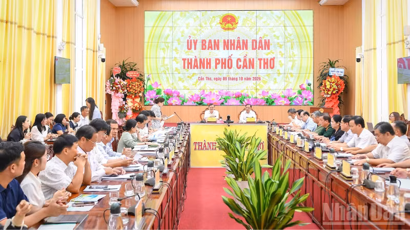 Can Tho Prepares 25,000 Rice Pots for Vietnam's International Rice Industry Festival 2026