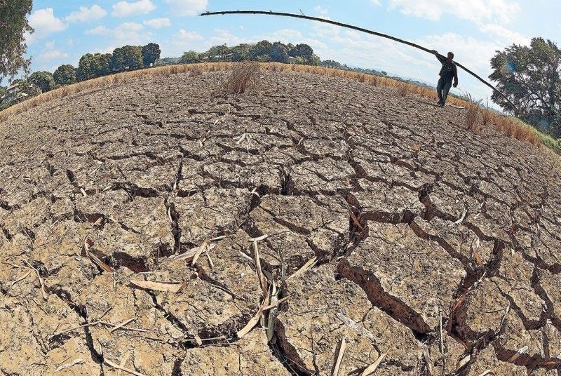 DA Workers Ordered to Hasten Preparations for El Niño