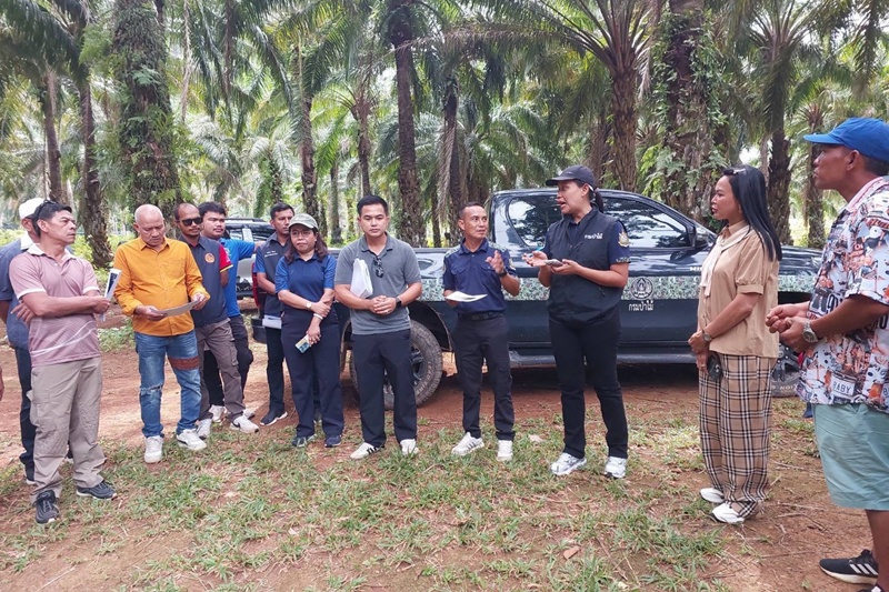 Land Development Near Krabi's Tha Pom Wetland Sparks Investigation Calls
