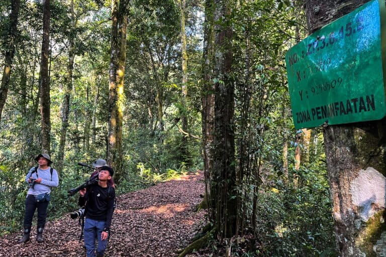 インドネシア国立公園、エコツアーズム導入へ 財政自立と環境保全の両立目指す