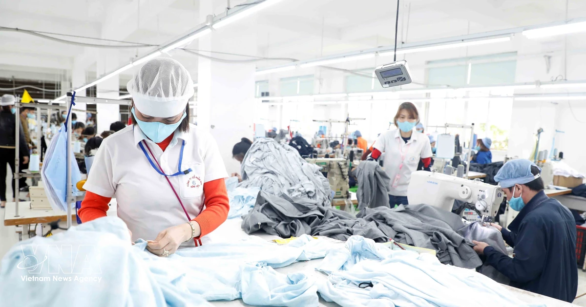 Vietnam's Garment-Textile Sector at Crossroads: Embracing Digitalization and Automation
