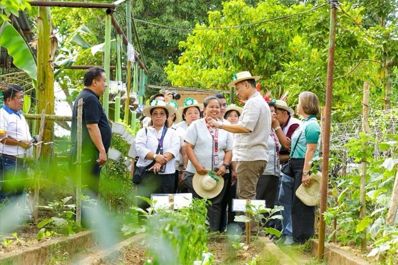 野菜余剰問題、学校給食で解決へ フィリピン教育省