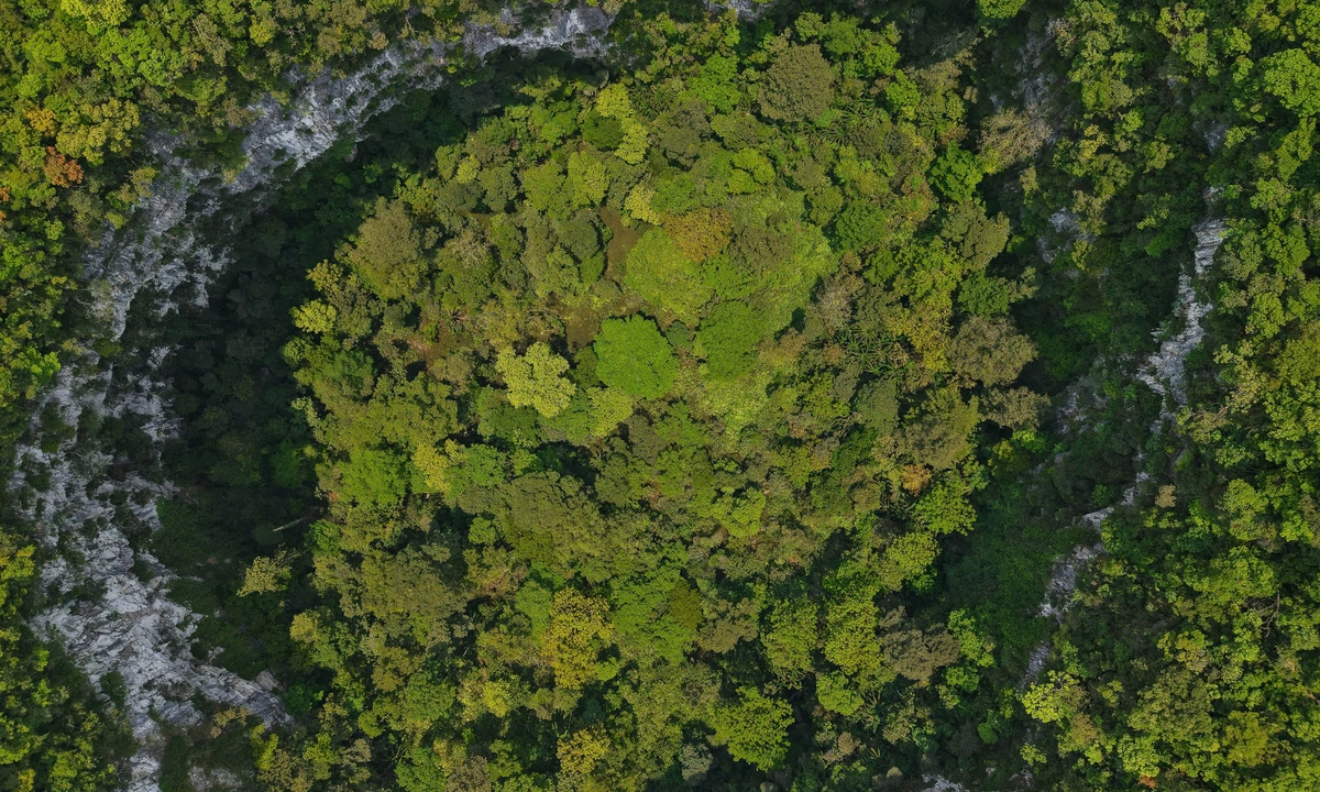 Giant Sinkhole in Central Vietnam Hosts Ancient Primeval Forest