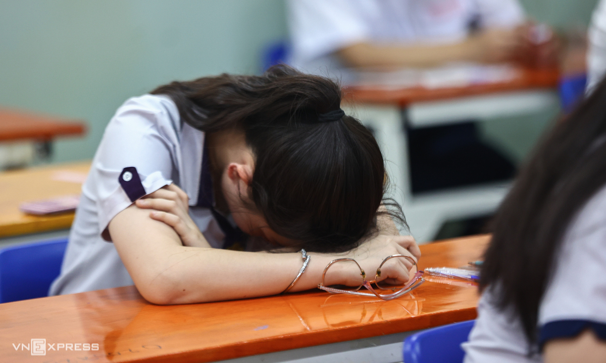 ベトナムの大学生、進路と就職に不安:AI時代への適応が課題