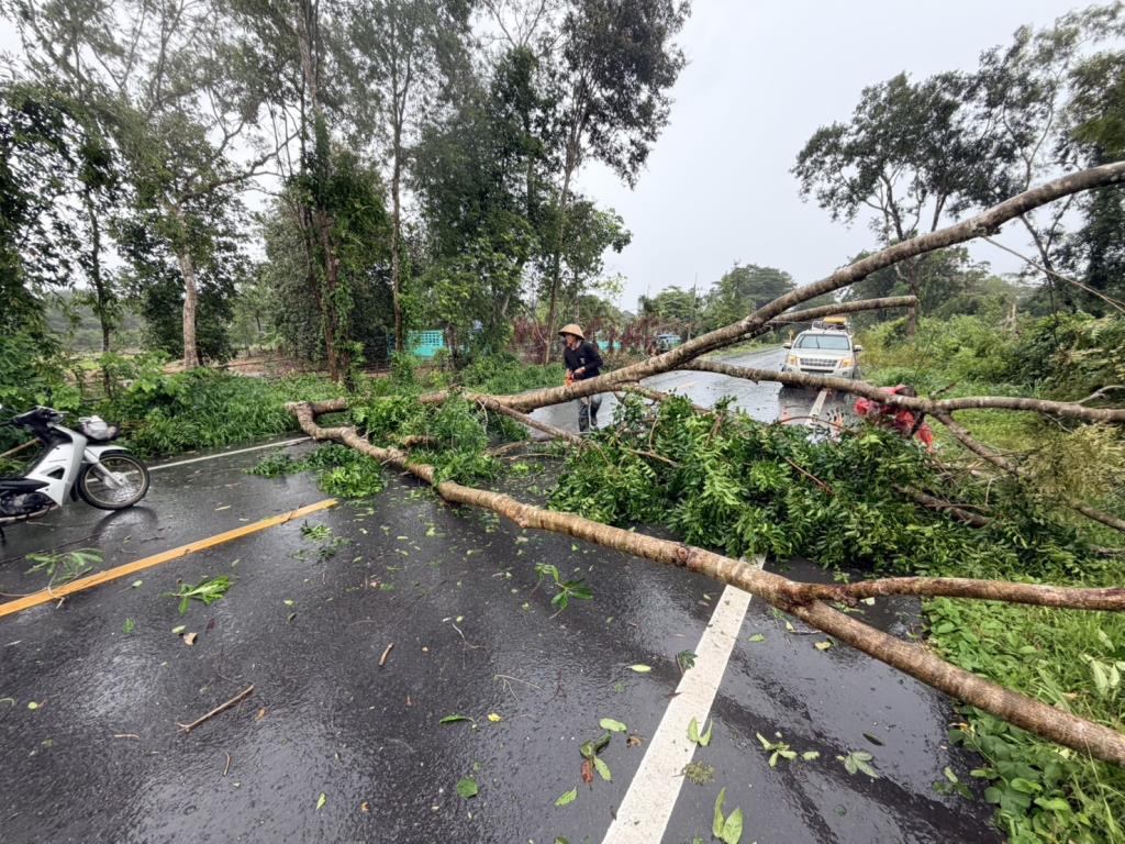 Heavy Rainfall in Rayong Province, Thailand, Causes Infrastructure Damage and Impacts Residents