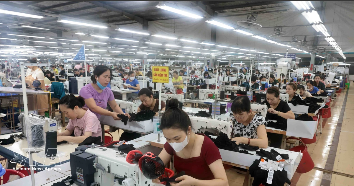 Vietnam Launches Programme to Support SMEs, Cooperatives in Sustainable Transition