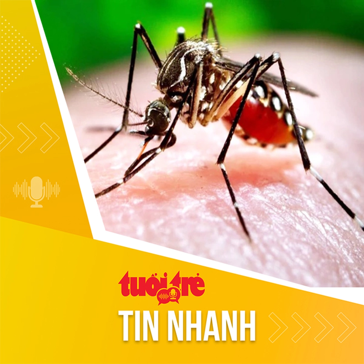 Vietnam Faces Healthcare Strain as Dengue and Hand, Foot, and Mouth Disease Cases Rise
