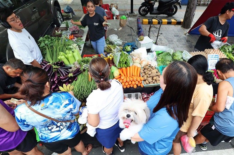 Philippines Probes Suspected Smuggling of Highland Vegetables to Protect Farmers