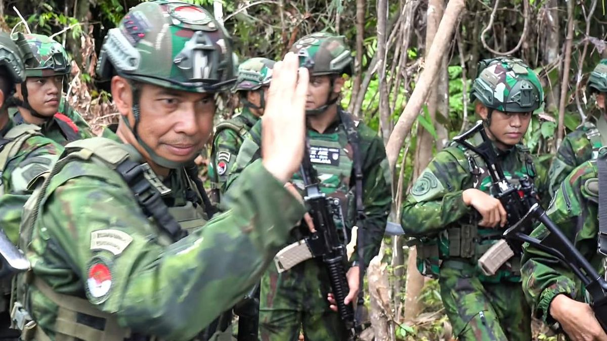 TNI Discovers Large Marijuana Fields Allegedly Linked to Armed Group in Papua