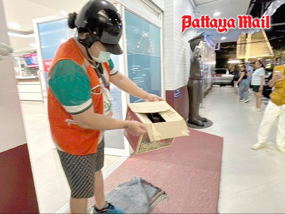 Motorcycle Taxi Driver Brings Injured Fruit Bat to Pattaya Police Station
