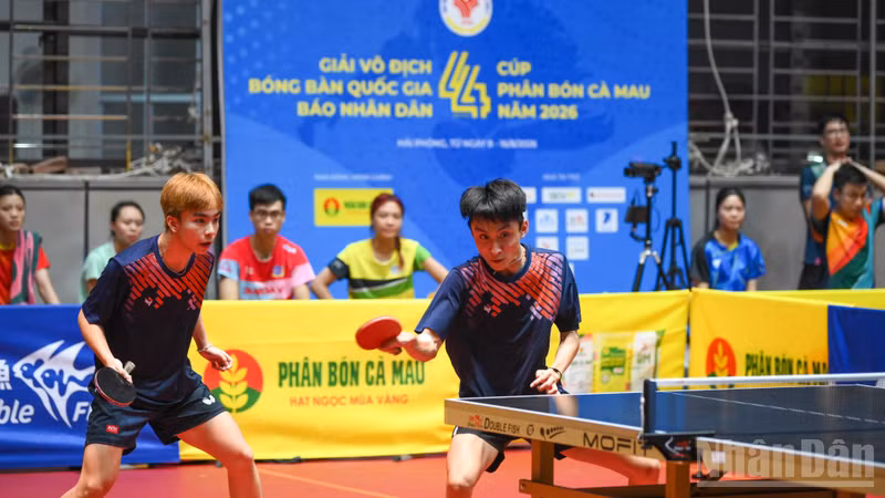 Four Teams Advance to Semifinals in National Table Tennis Championship