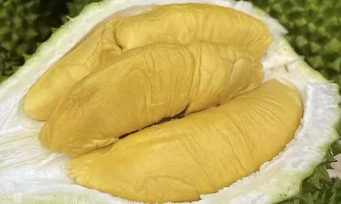 Durian Exports Poised to Reach $4 Billion Amid Strong China Demand
