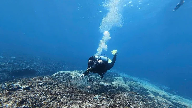 リソン島、サンゴ礁保全へ特別指導者の潜水視察とエコツアー推進