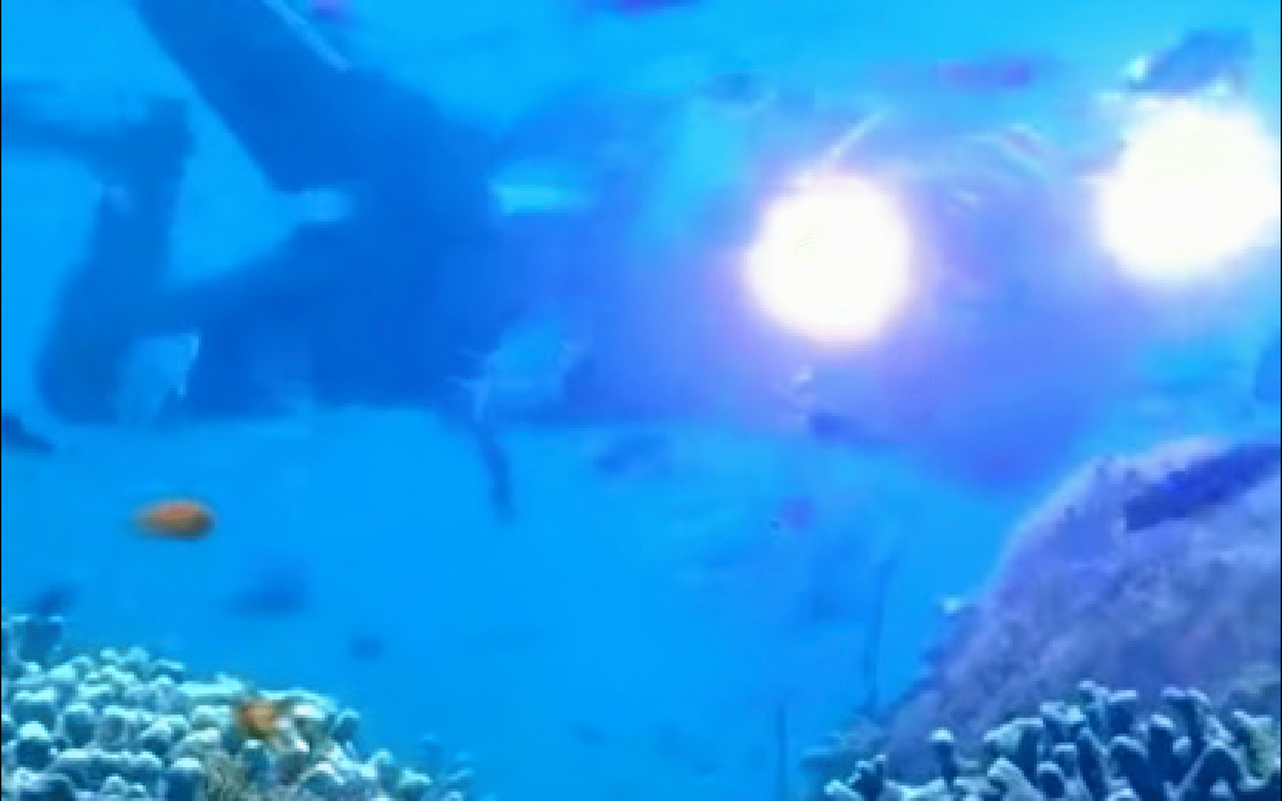 Lanao del Norte Town Poised to Become Northern Mindanao's Next Diving Hub