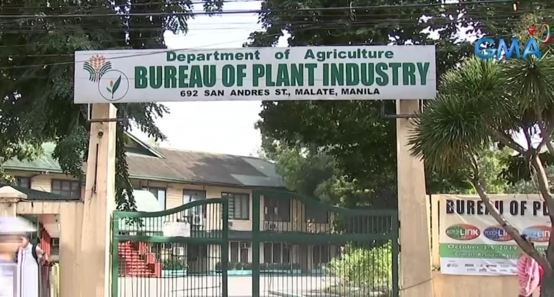 BPI Modernization Hailed for Boosting Food Safety, Exports
