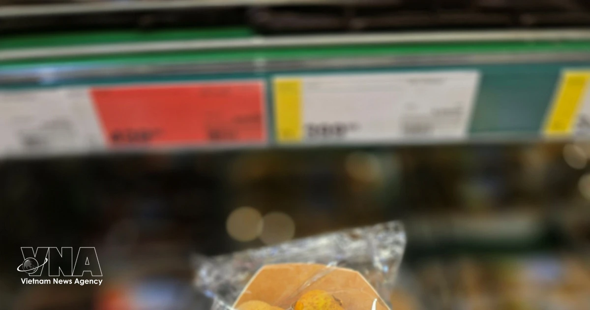 Vietnamese Farm Produce Expands Presence in Russian Retail Market