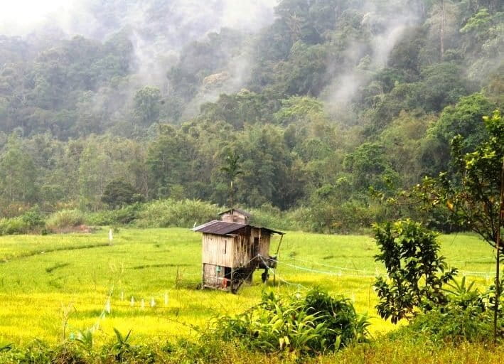 Indonesia's Carbon Business: A Corporate 'Penance' for Environmental Destruction?