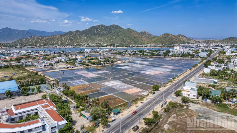 Salt Fields of Southern Khanh Hoa: The Lives of Salt Farmers Under Sun and Wind