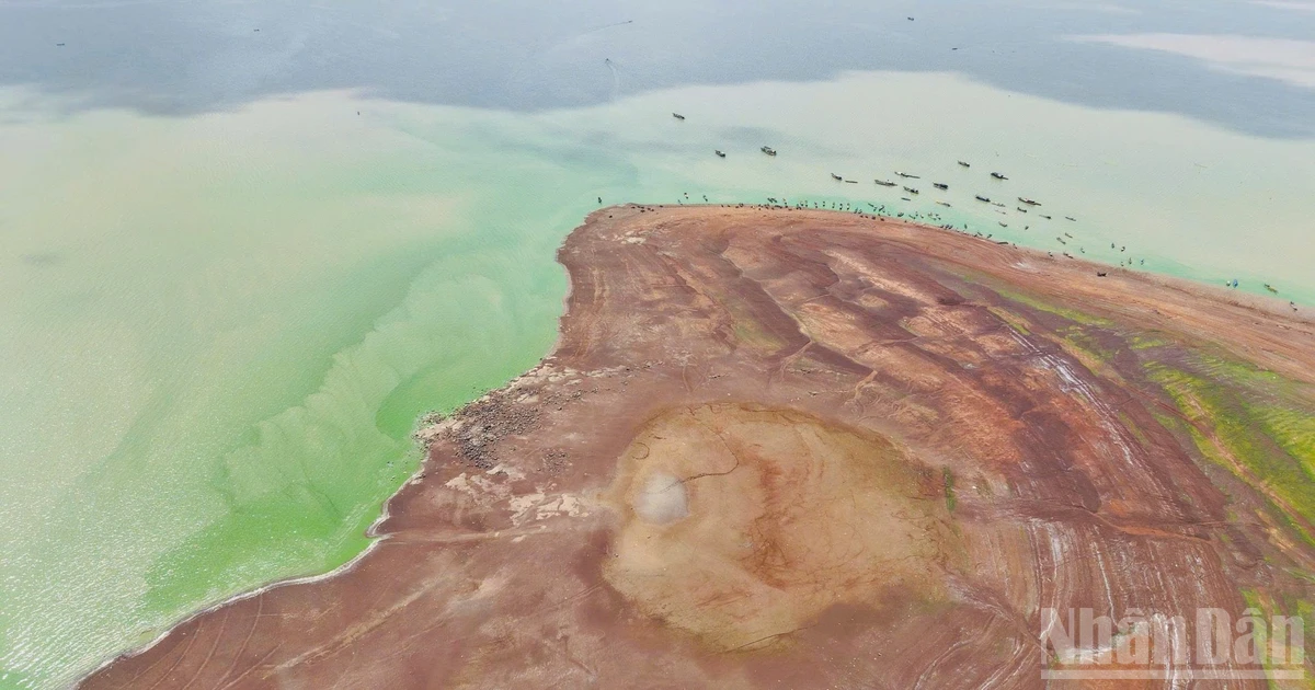 Tri An Lake's Low Water Level Reveals 'Green Grasslands' Amid Drought, Affecting Water Supply