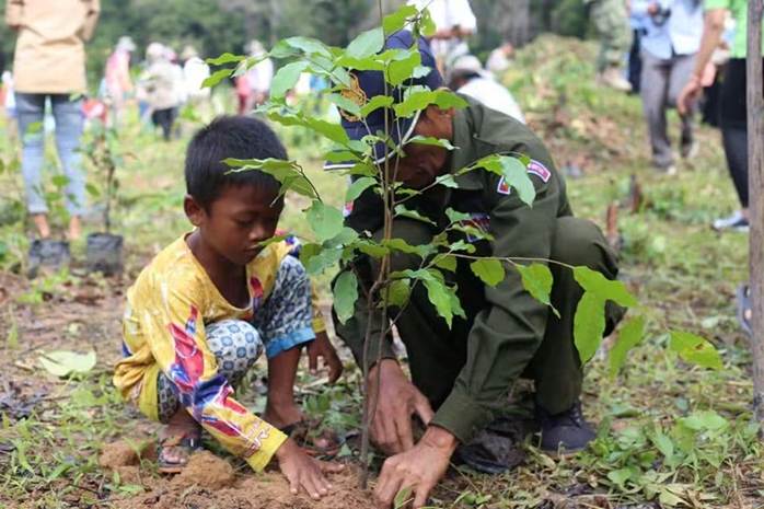 Ministry Pushes for Enhanced Forest Protection and Tree Planting Amid El Niño Forecast