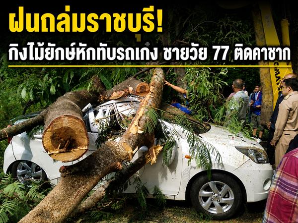 タイ・ラチャブリで豪雨、巨木が倒れ車を直撃 77歳男性重傷
