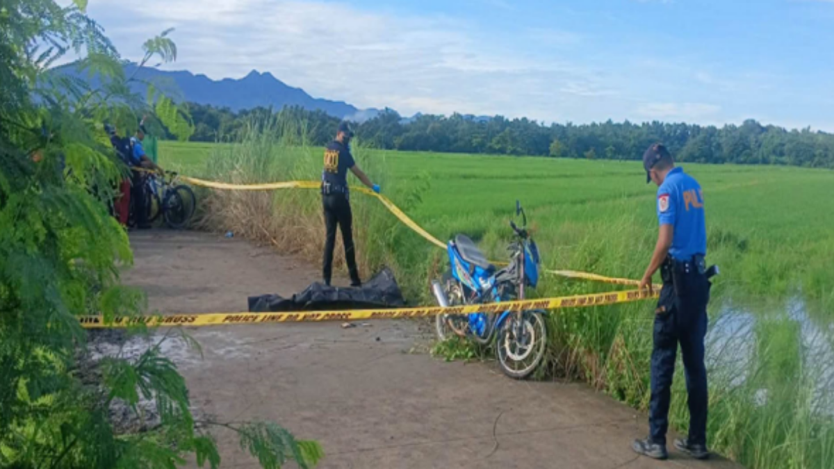 Man Found Dead in Flooded Rice Field Along Farm Road in Ilocos Sur