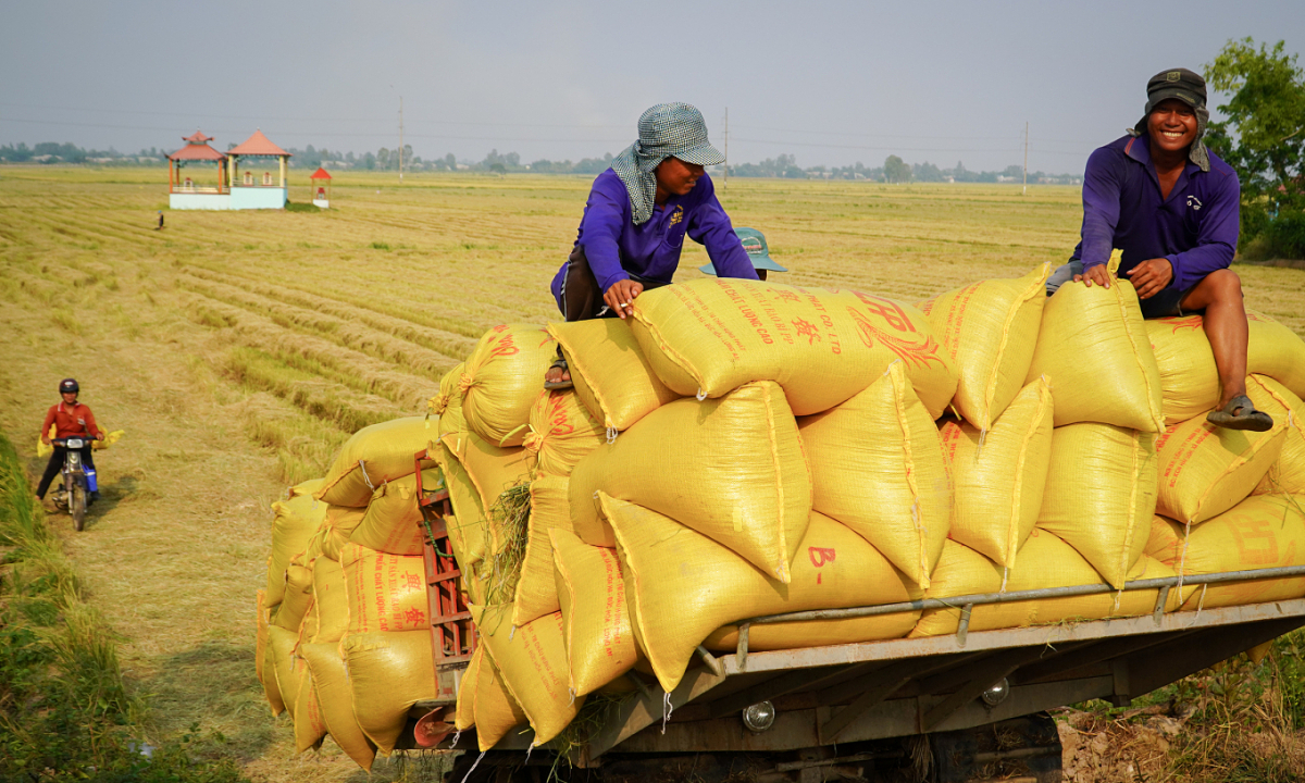 ベトナム、ASEANサプライチェーンで存在感を拡大:コメ輸出から生産拠点へ