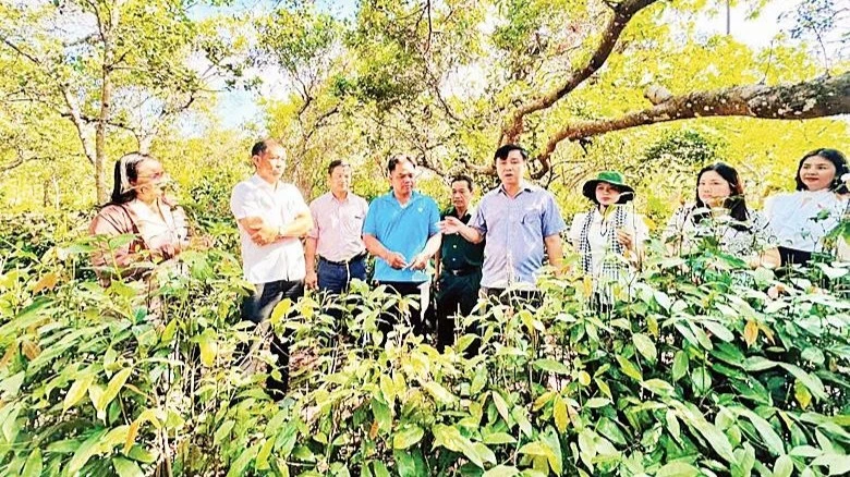 Awakening Internal Strength: Empowering Ethnic Minority Communities in Dong Nai