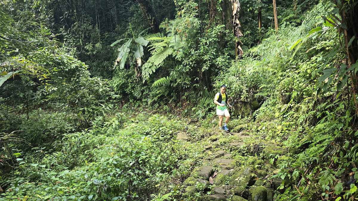 Centuries-Old Stone Road in Northwest Vietnam Becomes Popular Trekking Destination