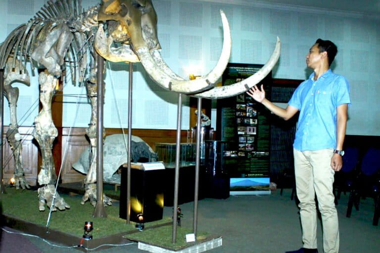フローレス島、ホモ・フローレシエンシスの絶滅原因は水資源の変化か