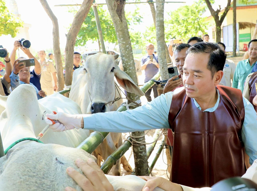 Kampong Cham Province Launches Livestock Vaccination Campaign