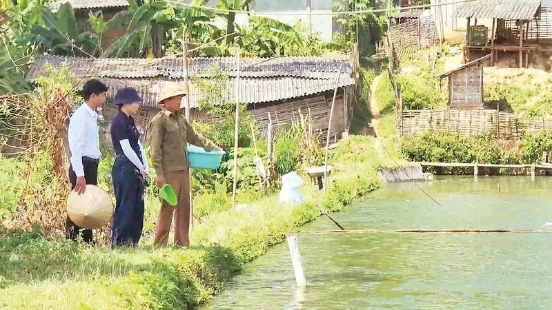 ベトナム、農家組合の専門職別分科会が地域経済活性化に貢献