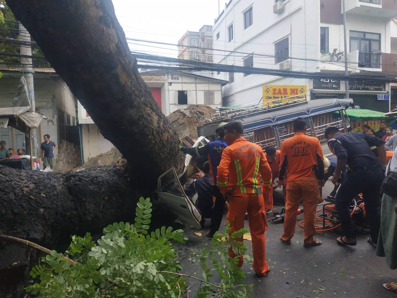 マンダレーで車に倒木、1人負傷