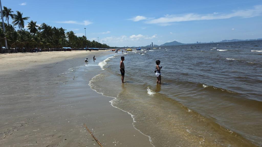 Bang Saen Beach Turns Brown, Deterring Tourists; Suspected Brown Algae Bloom