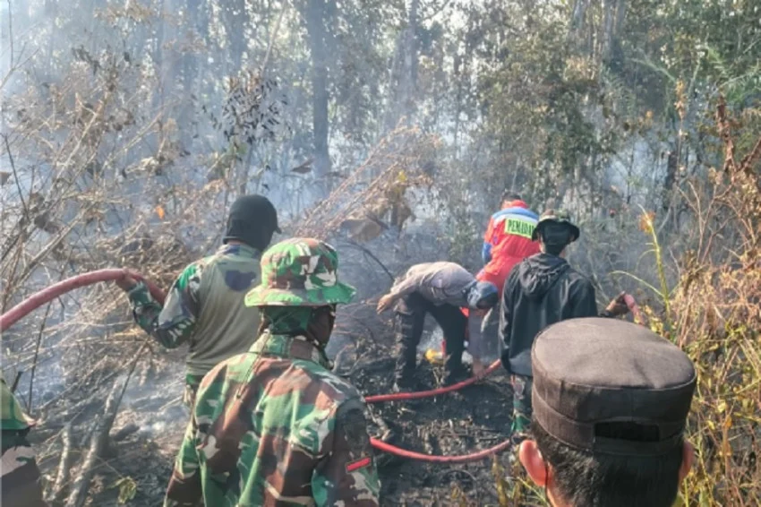 TNI Strengthens Handling of Forest Fires and Disasters, Earning Public Appreciation