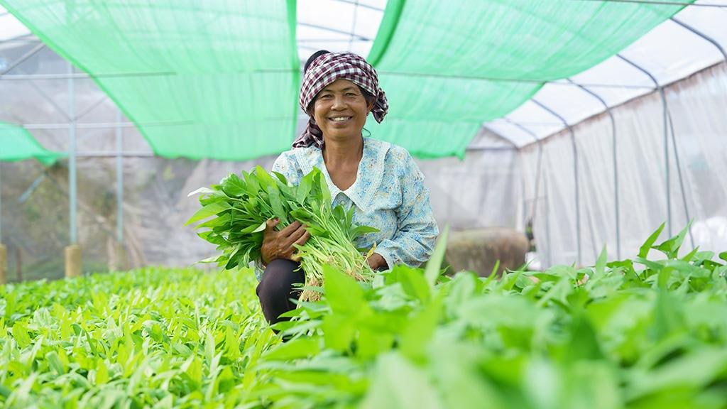 ADB、カンボジアの農業強靭化と女性の収入向上に7200万ドル