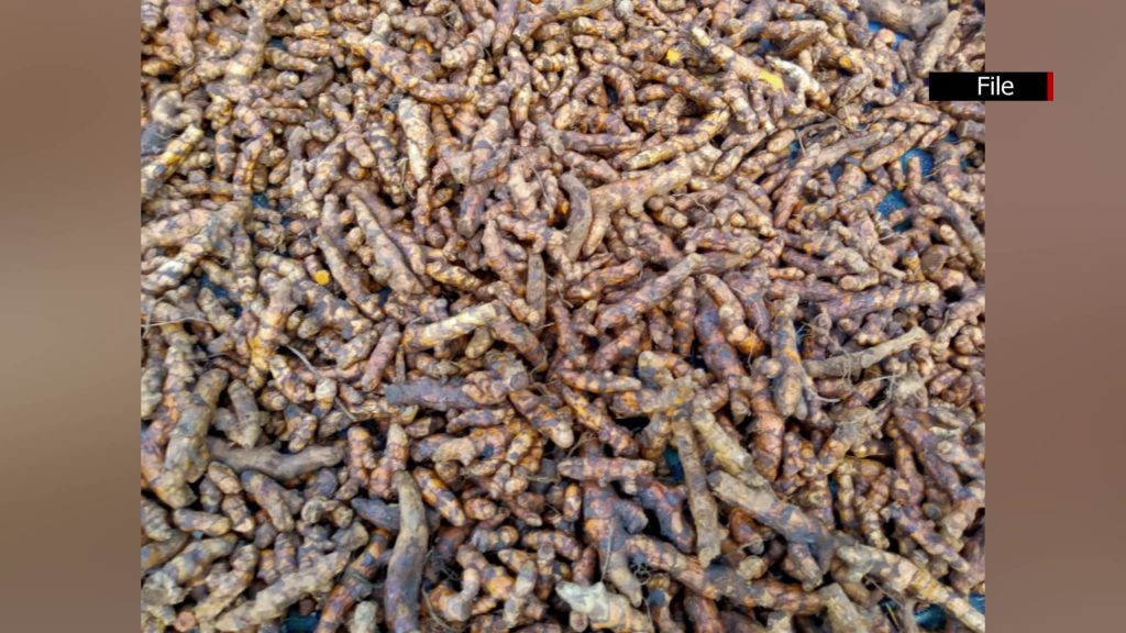 ミャンマー産果物の輸出、2億2200万ドル超を獲得