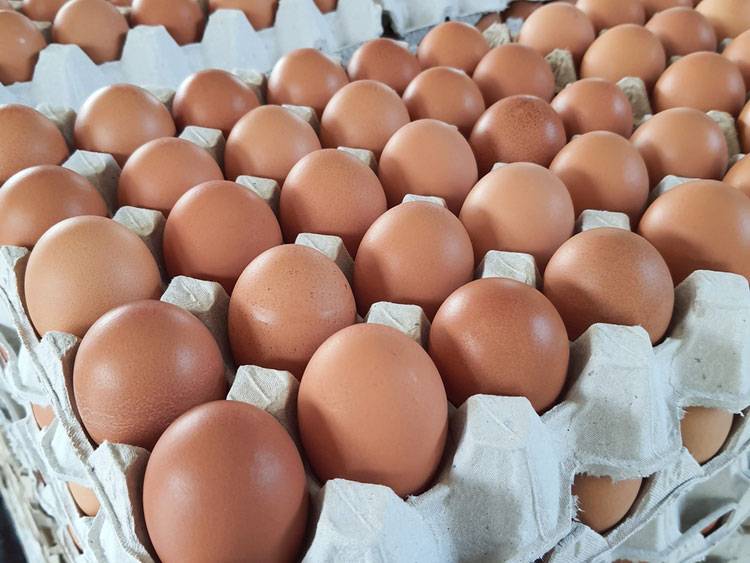 Thai Egg Prices Continue to Rise, Up Another 20 Satang Per Egg