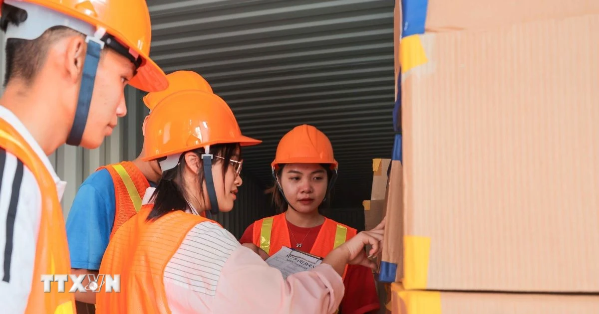 Artificial Intelligence Reshaping Competitiveness in Vietnam's Logistics Sector