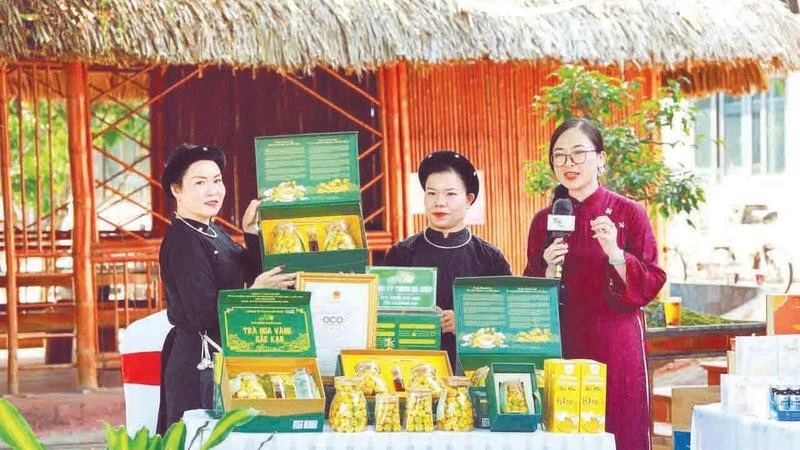 ベトナム、オンライン農産物市場で1500件の注文を達成、地方経済活性化に貢献
