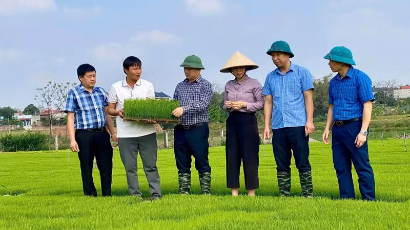 Vietnam Reforms Rural Vocational Training to Align with Market Needs