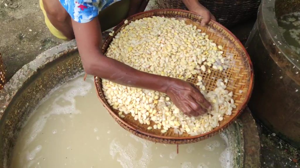 アウンランで大豆の収穫量減、価格高騰