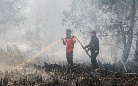 DPR Urges National Disaster Declaration for Kalimantan Forest Fires