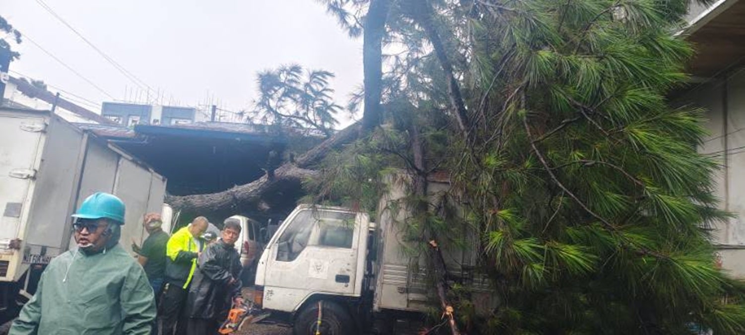 台風インディがバギオ市に爪痕、倒木が車両を直撃