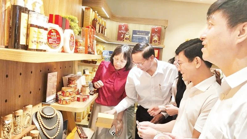 ハティン省、地元農産物の販路拡大へ向けた支援を強化
