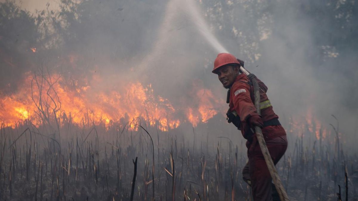 Indonesia Continues Firefighting Efforts on 209 Hectares of Land
