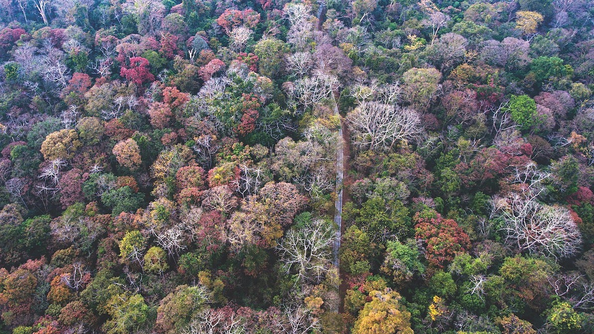 ラムドン省、カティエン国立公園の一部をドンナイ省へ移管へ