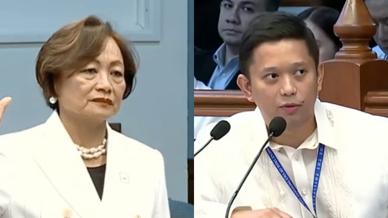 Tang to Duterte lawyer: My testimony isn't for sale